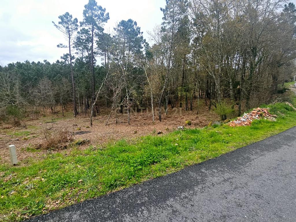 Terreno Construível em Viseu com Vista Panorâmica e Acesso Fácil - Image 1